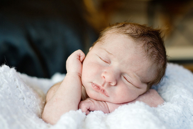 Kim Hunter Studio: Charlotte Newborn Photographer