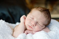Kim Hunter Studio: Charlotte Newborn Photographer