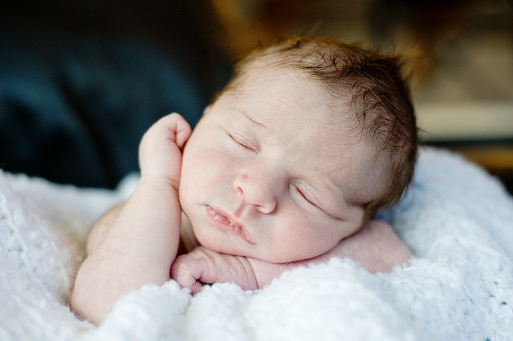 Kim Hunter Studio: Levi Newborn